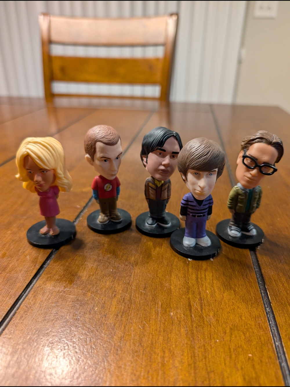 Big Bang Theory Complete Cast Bobblehead Set | 5 Characters | Like New